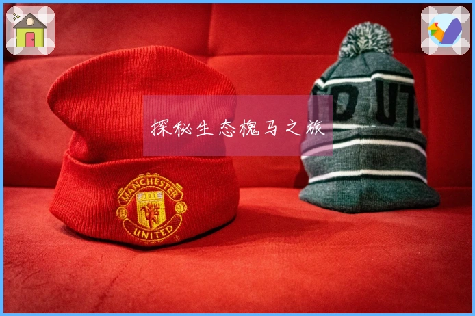 探秘生态槐马之旅